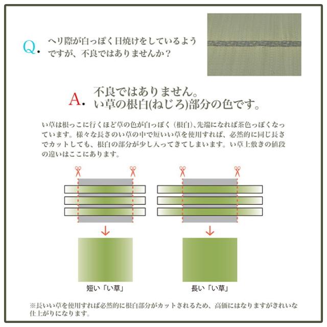 ラグ 正方形 い草 日本製 国産 自然素材 滑り止め加工 ナチュラル 市松柄 オールシーズン 消臭 シンプル 約2畳 約191×191cm ホットカーペット対応 床暖房対応 プレーン(代引不可)【送料無料】_15