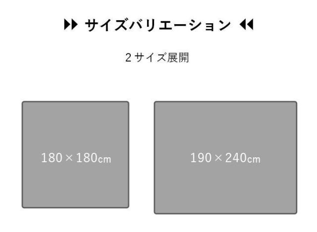 引っ敷き 格好のいい まっ四角 オール時季 上滑り打ちきり 透け透け ギャッベ ベージュ 約180×180糎 ルース(代引不可)【貨物輸送無料】