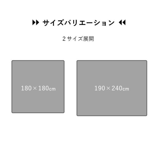 ラグ おしゃれ 長方形 オールシーズン 滑り止め 薄手 ギャッベ ベージュ 約190×240cm ルース(代引不可)【送料無料】_9