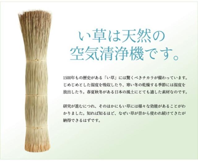 純国産 い草 上敷き カーペット 糸引織 『岩木』 江戸間4.5畳(約261×261cm) 岩木(代引不可)【送料無料】_11
