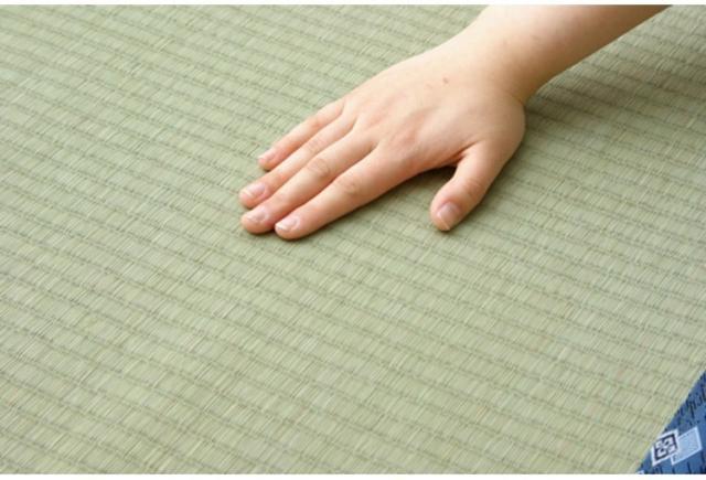 純国産 い草 上敷き カーペット 糸引織 『岩木』 江戸間4.5畳(約261×261cm) 岩木(代引不可)【送料無料】_8