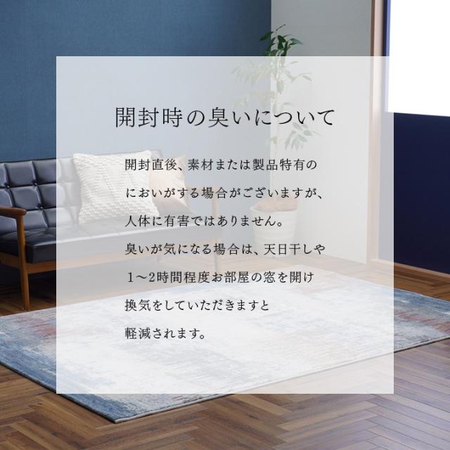 カーペット デザインラグ ウィルトンカーペット 長方形 モダン柄 約240×330cm ロマネ(代引不可)【送料無料】_11