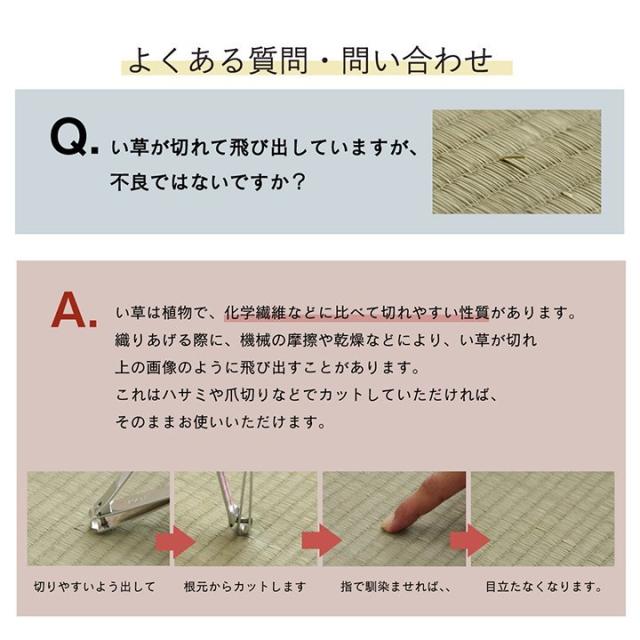 ラグ い草 ギャベ 自然素材 抗菌防臭 滑り止め不織布 ブルー 約191×250cm トロイ(代引不可)【送料無料】_10