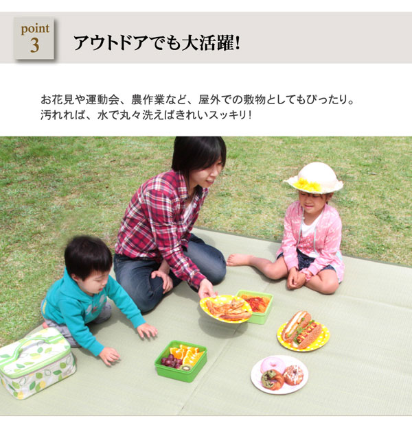 洗える PP引っ敷き 『五木』 日本の首都間4.5畳（約261×261糎）(代引不可)【貨物輸送無料】