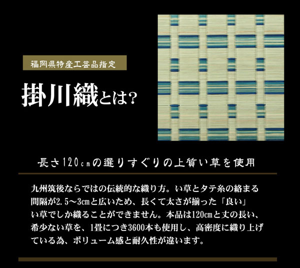 掛川織 い草カーペット 『雲仙』 ブルー 本間6畳（約286×382cm)(代引不可)【送料無料】