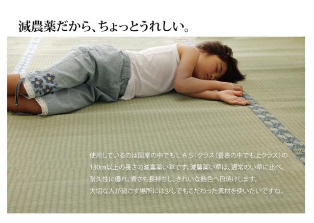 日本製 ラグ カーペット 敷き詰めタイプ 純国産 減農薬栽培 い草 上敷き カーペット 糸引織 『西陣』 六一間8畳(約370×370cm)(代引不可)【送料無料】_6