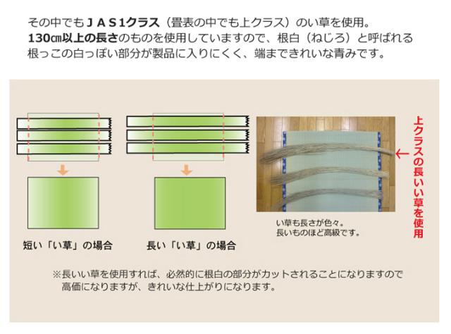 日本製 ラグ カーペット 敷き詰めタイプ 純国産 減農薬栽培 い草 上敷き カーペット 糸引織 『西陣』 本間8畳(約382×382cm)(代引不可)【送料無料】_5