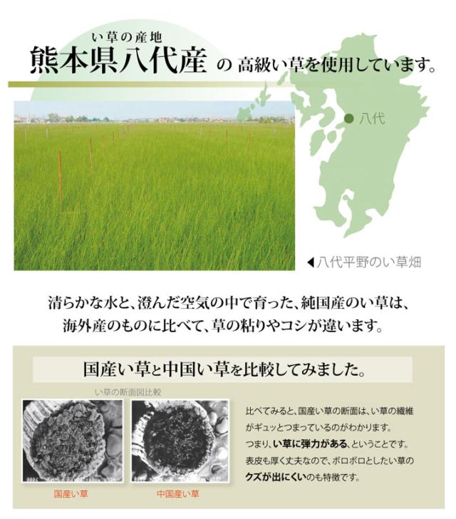 日本製 ラグ カーペット い草上敷 敷き詰めタイプ 純国産 い草 上敷き カーペット 麻綿織 『清正』 江戸間10畳(約440×352cm)(代引不可)【送料無料】_5