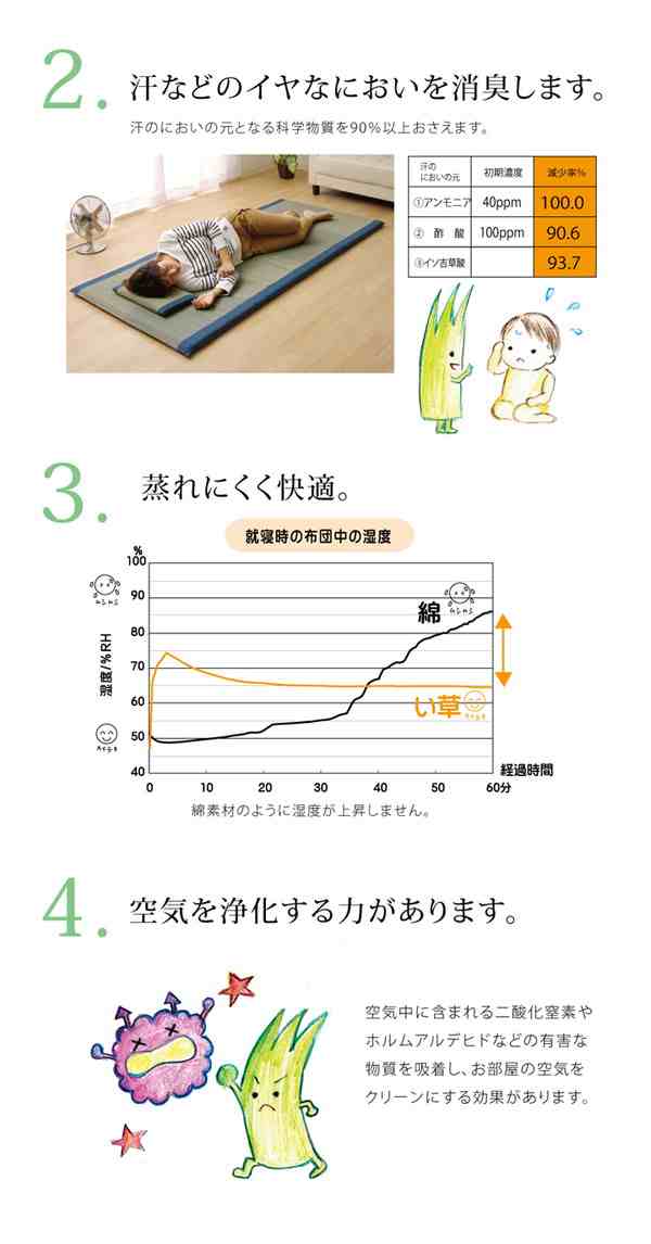 い草 い草マット 国産 ごろ寝マット フリーマット ノア Sらくらく