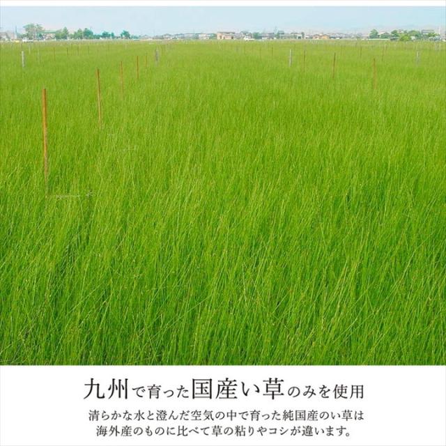 カーペット ござ 日本製 江戸間4.5畳 約261×261cm 国産 敷詰 ラグ 敷物 ナチュラルスタイル い草 消臭 抗菌防臭 滑り止め 防炎 市松 シンプル 新生活 インテリア おしゃれ かわいい オールシーズン(代引不可)【送料無料】