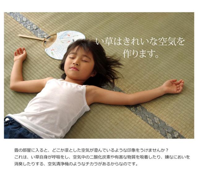 純国産 糸引織 い草上敷 『湯沢』 三六間4.5畳（約273×273cm）【送料無料】【代引き不可】_9