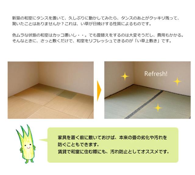 純国産 糸引織 い草上敷 『湯沢』 六一間8畳（約370×370cm）【送料無料】【代引き不可】_3