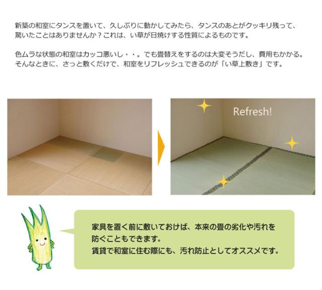 純国産 双目織 い草上敷 『松』 団地間8畳（約340×340cm）【送料無料】【代引き不可】_3