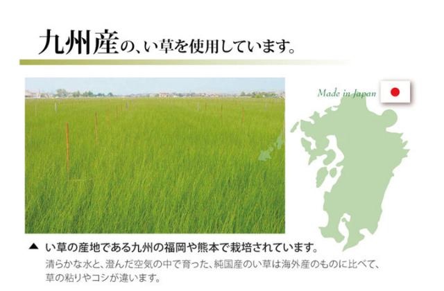 純国産 双目織 い草上敷 『松』 団地間8畳（約340×340cm）【送料無料】【代引き不可】_5