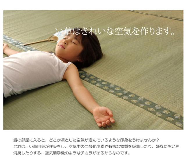 純国産 双目織 い草上敷 『松』 団地間8畳（約340×340cm）【送料無料】【代引き不可】_9