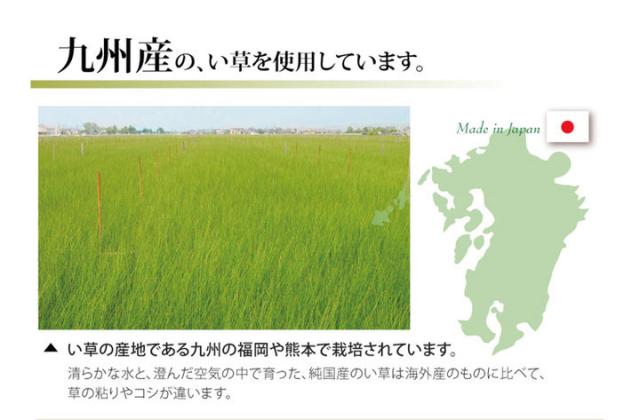 純国産 双目織 い草上敷 『ほほえみ』 本間8畳（約382×382cm）【送料無料】【代引き不可】_5