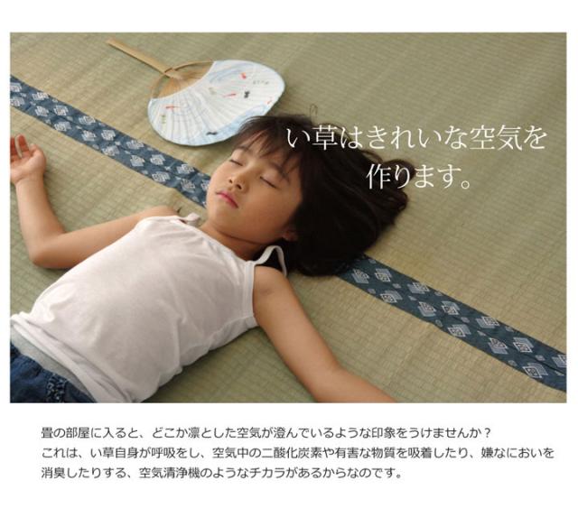 純国産 双目織 い草上敷 『ほほえみ』 本間8畳（約382×382cm）【送料無料】【代引き不可】_9