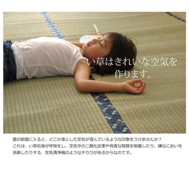 純国産 糸引織 い草上敷 『梅花』 日本の首都間2畳（約176×176糎）【貨物輸送無料】【代引っ張ること不可】