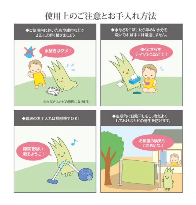 純国産 糸引織 い草上敷 『梅花』 日本の首都間2畳（約176×176糎）【貨物輸送無料】【代引っ張ること不可】