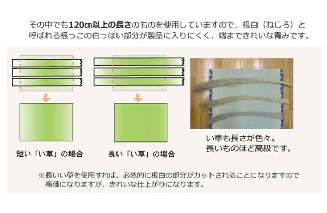 純国産 糸引織 い草上敷 『梅花』 日本の首都間2畳（約176×176糎）【貨物輸送無料】【代引っ張ること不可】