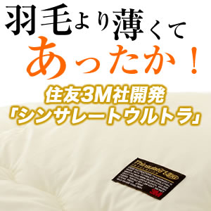 シンサレート ウルトラ 掛け布団 シングルロングサイズ 2枚セット【送料無料】_1