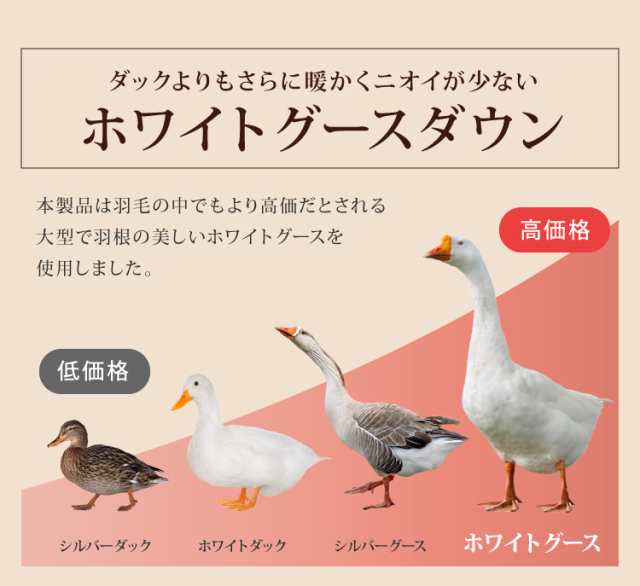 引き続き検討させていただきますクイーン シルバーグース ダウン羽毛