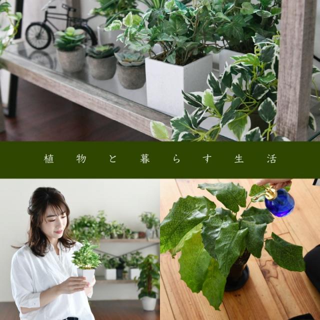 グリーンインテリア スタンドミラー 姿見 ガラス インテリア 幅100 グリーン 観葉植物 シャビー 棚 ラック おしゃれ 一人暮らし(代引不可