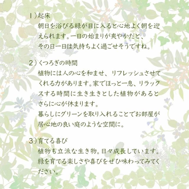 グリーンインテリア スタンドミラー 姿見 ガラス インテリア 幅100 グリーン 観葉植物 シャビー 棚 ラック おしゃれ 一人暮らし(代引不可