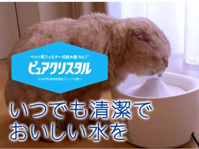 ジェックス ピュアクリスタル 1.5L 猫用 ホワイト GEX 給水器 フィルター式 自動給水器 ペット用 ねこ【送料無料】の通販はau PAY  マーケット - リコメン堂