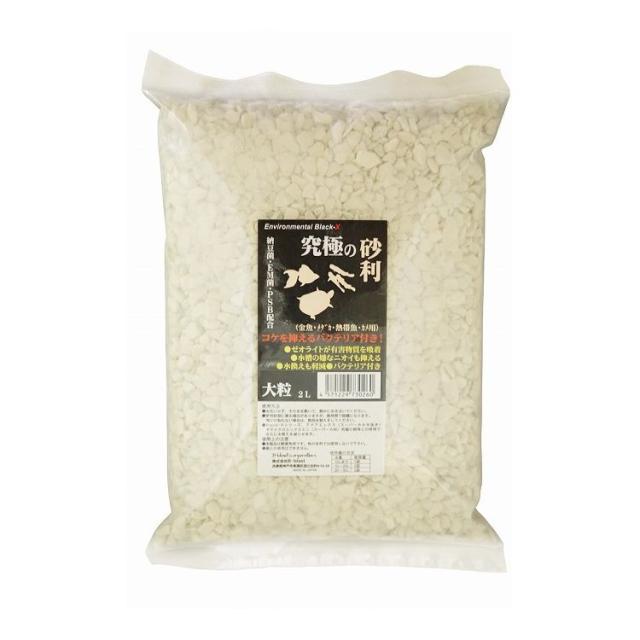 びんちゃんメダカ】びんびん乳酸菌！500ml 10本セット‼️