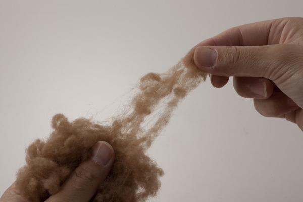 ふわふわキャメル掛け布団 シングル 布団 掛け布団 かけふとん(代引不可)【送料無料】_3