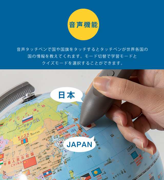 地球儀 レイメイ藤井 しゃべる国旗付き地球儀スタンダード 20径 OYV46