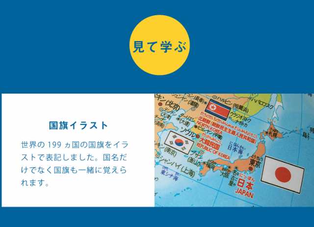 地球儀 レイメイ藤井 しゃべる国旗付き地球儀スタンダード 20径 OYV46