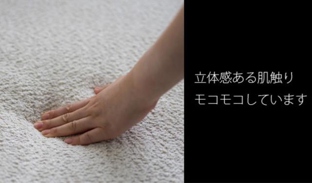 アン アームソファ L ソファ ローソファ フロアソファ コンパクト 肩肘 右肘 カウチ 丸み 淡色 アンニュイ 脚 着脱可能 ロータイプ仕様 幅115cm 奥行き70cm(代引不可)【送料無料】_3