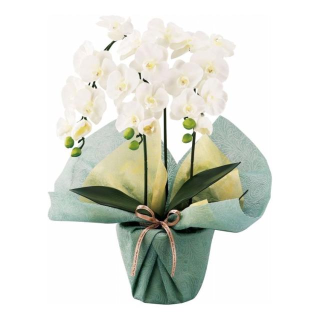 ミニ胡蝶蘭三本立ち アーティフィシャルフラワー ホワイト SC触媒加工 minipo-wh ギフト プレゼント(代引不可)【送料無料】