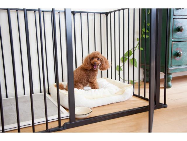 北欧 ケージ ペット 組立式 106×74cm スカンジナビアン ペットデザイン ペットケージ XL シンプル 大きい 大型 犬 犬用 ゲージ ペットゲージ 組み立て【送料無料】