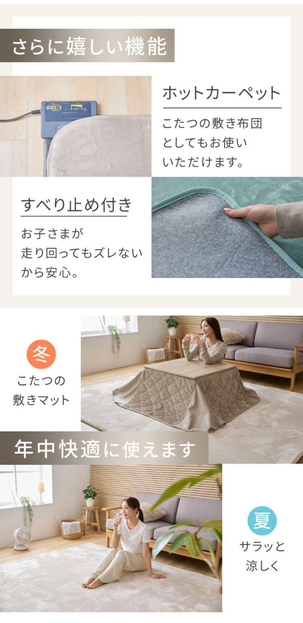 洗えるラグマット 200×300cm 長方形 滑り止め付 ホットカーペット対応 床暖房対応 北欧 モダン おしゃれ オールシーズン ウォッシャブル ラグマット ラグカーペット リビング 絨毯 マット ラ
