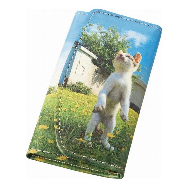 立ち猫 希望の立ち猫 キーケース TW1901(代引不可)【送料無料】