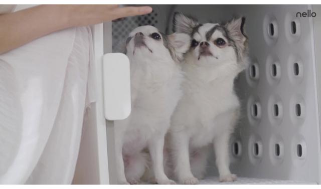 Haru ペットドライルーム nello ミント PD-B10-M ペットルーム ケージ