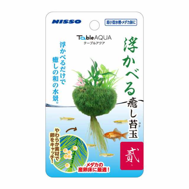 マルカン テーブルアクア 浮かべる癒し苔玉 貳 ニ Nap 574 ペット用品 熱帯魚 アクアリウム用品 レイアウト用品の通販はau Pay マーケット リコメン堂