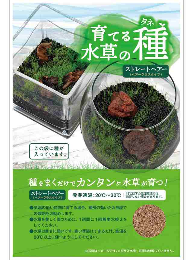 マルカン ニッソー事業部 育てる水草の種 ストレートヘアー 流木 ペット用品 熱帯魚 アクアリウム用品 レイアウト用品の通販はau Pay マーケット リコメン堂