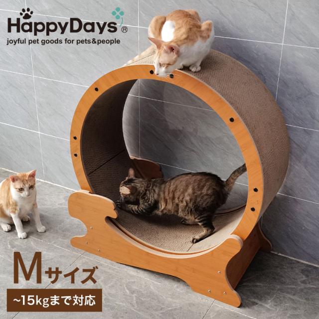 PSA10】 ヴァイス WS 英語 サイン SP SAO 氷の機械 シノン