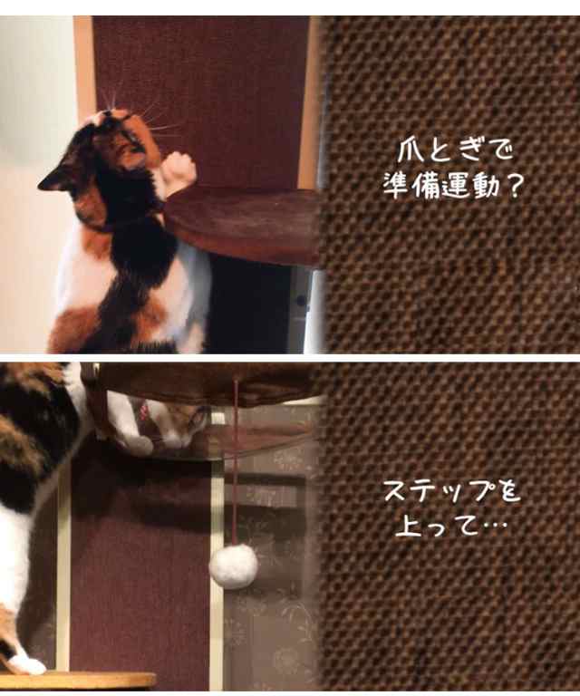 ボンビアルコン キャットウォークモダン 爪とぎ キャットタワー 猫