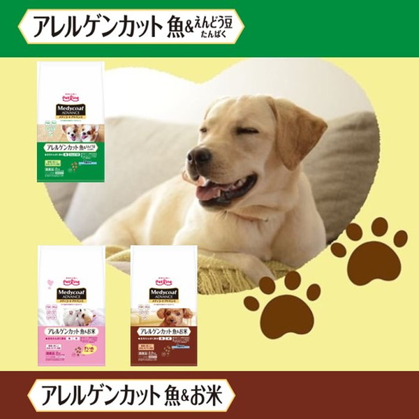 アファメーションカード】キュートな動物に癒される✨アニマル