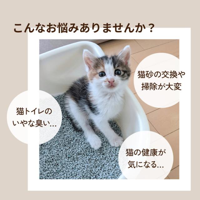マルカン ナクラム 全自動猫トイレ 猫用トイレ 猫トイレ 自動 静音 消臭 大型 自動掃除 スマホ 連動 猫砂 飛散防止 飛び散り防止 多頭飼い 猫 猫用 トイレ nakuram【送料無料】