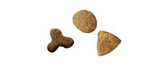 【4個セット】 ネスレ ピュリナワンキャット 避妊・去勢した猫の体重ケア 避妊・去勢後から全ての年齢に サーモン&ツナ 2kg【送料無料】の通販は