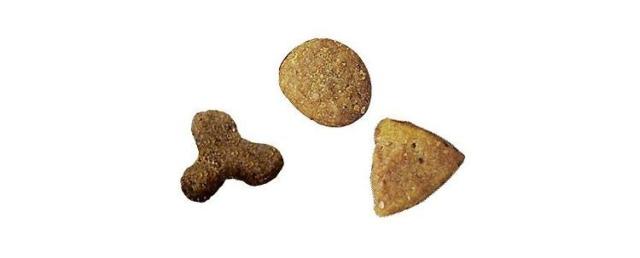 ネスレ ピュリナワン キャット 室内飼い猫用 インドアキャット 1歳以上 チキン 2kg ネスレ ピュリナワンキャット 室内飼い猫用 インドアキャット 1歳以上