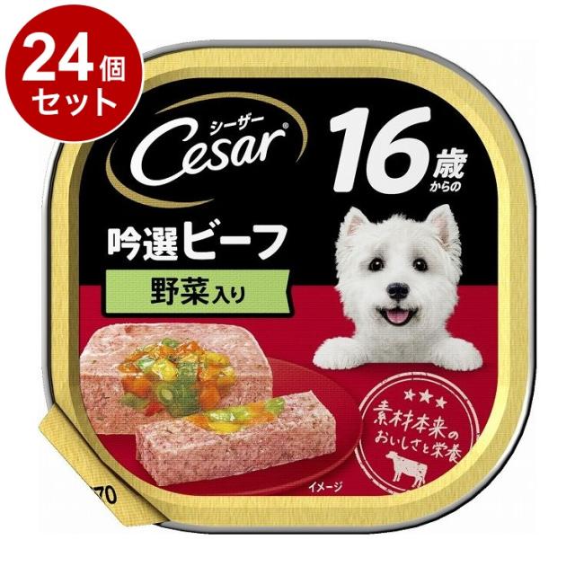 【24個セット】 シーザー 16歳からの 吟選ビーフ 野菜入り 100g【送料無料】の通販は