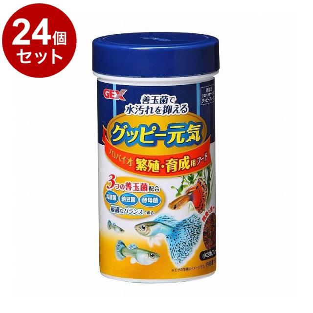 観賞魚用フード 5076 イトスイ コメット 金魚の主食 納豆菌 色揚げ 小粒 200g×20セット（4kg） 観賞魚用フード 5076 イトスイ コメット 金魚の主食 納豆菌 色揚げ
