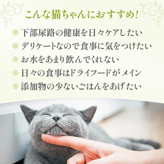 【24個セット】 ペットプロ HappyDays Cherie まぐろ&amp;にんじんinグレービー 下部尿路の健康維持 成猫用 80g【送料無料】_5
